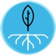 Blue Tree Icon